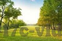 国产高av首播原创麻豆-国产高AV首播中的原创麻豆——特色、挑战与前景探析