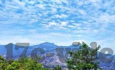 麻豆视频免费app-无需付费，探索麻豆视频世界——免费app的魅力