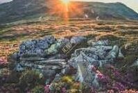 欧美日韩大陆片一区二区三区-电影文化的多元视角，欧美、日韩与大陆片区的艺术交融