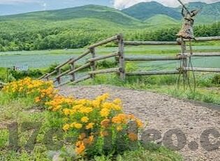 香蕉一区二区-香蕉一区二区的独特魅力与文化探索