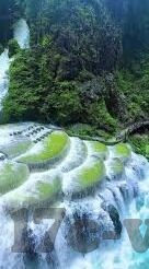 郑州大象传媒-郑州大象传媒，文化传播的桥梁与时代脉动的见证